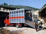 Fiat Daily Chassis Cab 1978 года